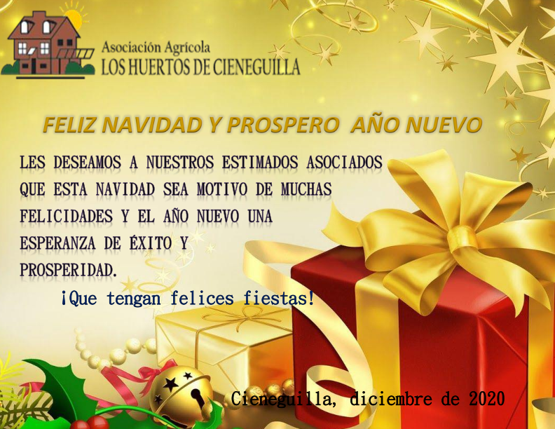TARJETA NAVIDEÑA2020
