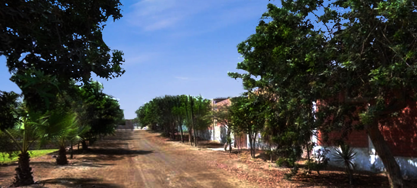 nivo